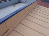 寝屋川市　外壁塗装　屋根塗装　雨漏り診断中の写真