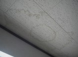 外壁　サイディング　天井雨漏り