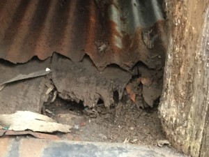 金属トタン屋根経年劣化　雨漏り