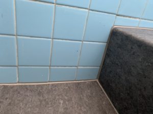 トイレ床改修　タイル～長尺シート　ダイタク