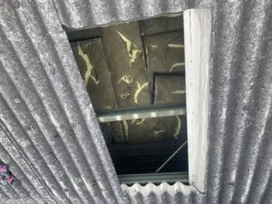 工場スレート屋根　雨漏補修　ダイタク