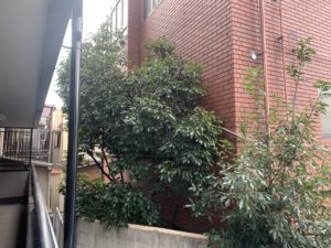 大阪市　外壁塗装・防水工事に伴う外構工事　ダイタク