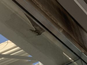 大阪市　テナントショールーム外壁　雨漏りシーリング補修　ダイタク