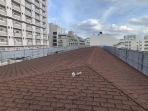 大阪市　某幼稚園　シングル屋根屋上防水改修工事