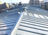 東大阪市　屋根塗装　トタン屋根　アステックペイント　遮熱塗料　DAITAKU