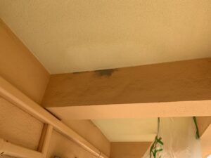 生駒市　マンション　廊下天井　爆裂補修　補修部塗装　ダイタク　DAITAKU　奈良　生駒