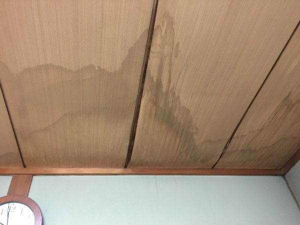 屋根塗装 何年おき